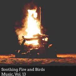 Beautiful Fire Night Song Lyrics