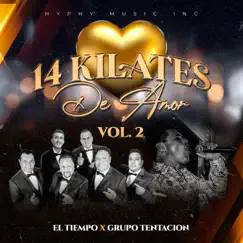 14 Kilates de Amor, Vol. 2 by El Tiempo & Grupo Tentación album reviews, ratings, credits