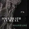 No Love Lost - Single album lyrics, reviews, download