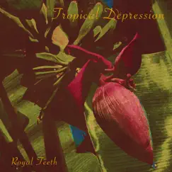 Tropical Depression - Single by Royal Teeth album reviews, ratings, credits
