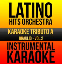 Instrumental Karaoke Series: Braulio, Vol. 2 (Karaoke Version) by Latino Hits Orchestra album reviews, ratings, credits