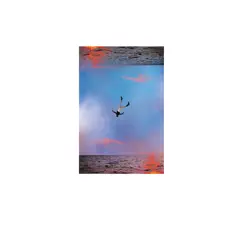 The Highs & the Lows (feat. Joey Bada$$) - Single by Chance the Rapper album reviews, ratings, credits