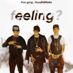 Feeling (feat. pxxr gvng) - Single by Fluss808mafia album reviews, ratings, credits
