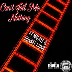 Can't Tell Me Nothing (feat. Malaye & Donkey Cong) Song Lyrics