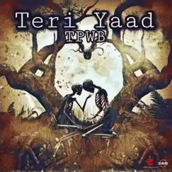 Teri Yaad Song Lyrics