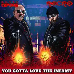 You Gotta Love the Infamy (feat. Necro) Song Lyrics