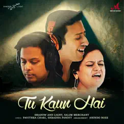 Tu Kaun Hai - Single by Shadow And Light, Salim Merchant & Pavithra Chari album reviews, ratings, credits