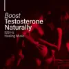 Boost Testosterone Naturally (528 Hz Healing Music for Sensual and Intimate Erotic Moments, Tantra, Kamasutra and Sexual Meditation) album lyrics, reviews, download