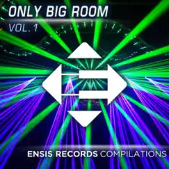 Only Big Room Vol. 1 by Various Artists album reviews, ratings, credits