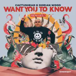 Want You to Know (Extended Mix) Song Lyrics