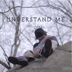 Understand Me - Single by Malice album reviews, ratings, credits