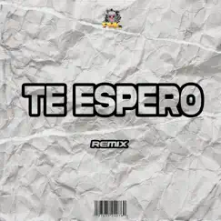 Te Espero - Single by Dj Pirata, El Kaio & Maxi Gen album reviews, ratings, credits