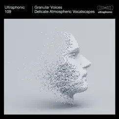 Granular Voices (Delicate Atmospheric Vocalscapes) by KNIGHTSTOWN album reviews, ratings, credits