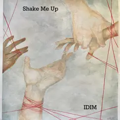 Shake Me Up - Single by IDIM album reviews, ratings, credits