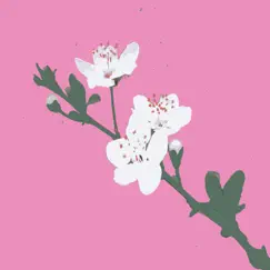 Cherry Blossom - Single by Mellow Byte album reviews, ratings, credits