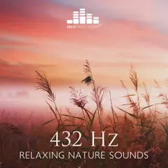 Connecting Yourself to the Universe with 432 Hz Sound from the Woods Song Lyrics