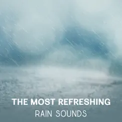 Rain Sounds (Sleep & Relaxation) Song Lyrics