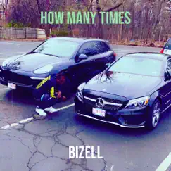 How Many Times - Single by Bizell album reviews, ratings, credits