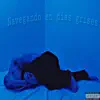 Navegando en días grises - Single album lyrics, reviews, download