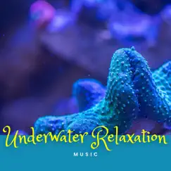 Underwater Relaxation Music by Underwater Zone, Nature Sounds XLE Library & Life Sounds Nature album reviews, ratings, credits