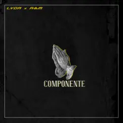 Componente (feat. A&M) - Single by Sebastian LVDA album reviews, ratings, credits