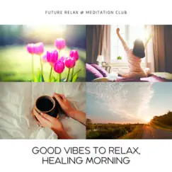 Good Vibes to Relax, Healing Morning by Future Relax & Meditation Club album reviews, ratings, credits