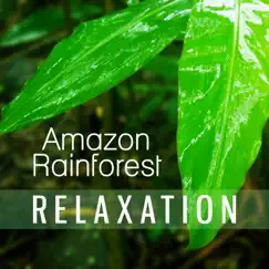 Relaxation Rainforest Music Song Lyrics