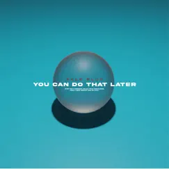 You Can Do That Later - Single by Pale Blue album reviews, ratings, credits