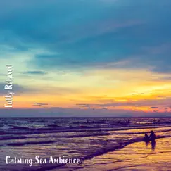 Calming Sea Ambience, Pt. 20 Song Lyrics