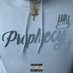 Pain n' Hustle - Single by Prophecy album reviews, ratings, credits