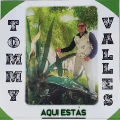 Aquí Estás - Single by Tommy Valles album reviews, ratings, credits