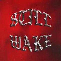 Still Wake - Single by Pyeatt album reviews, ratings, credits