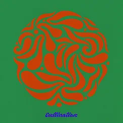 Cultivation - Single by Offthewally album reviews, ratings, credits