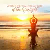 Wonderful Creature of the Sunlight album lyrics, reviews, download