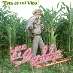 Esta Es Mi Vida Con Banda Sinaloense by Lalo El Gallo Elizalde album reviews, ratings, credits