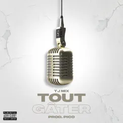 Tout gâter - Single by Tj Mix album reviews, ratings, credits