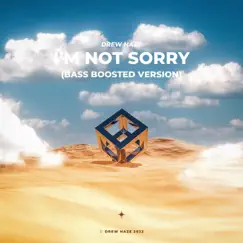 I’m Not Sorry (Bass Boosted Version) Song Lyrics