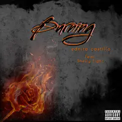 Burning (feat. Shelly Light) - Single by Ednita Castillo album reviews, ratings, credits