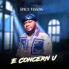 E Concern U - Single album lyrics, reviews, download