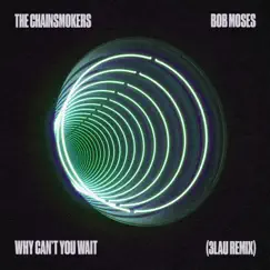 Why Can't You Wait (3LAU Remix) - Single by The Chainsmokers, Bob Moses & 3LAU album reviews, ratings, credits