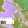 Blinded by the Light (feat. Kiz Pattison) album lyrics, reviews, download