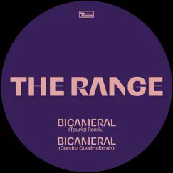 Bicameral (Remixes) - Single by The Range album reviews, ratings, credits