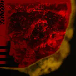 Fleshless - Single by RUSHKID album reviews, ratings, credits