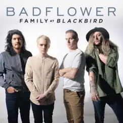Family (Blackbird) Song Lyrics