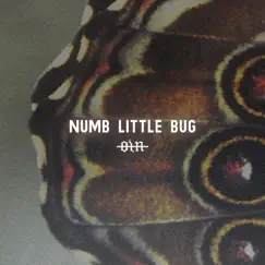 Numb Little Bug - Single by Our Last Night album reviews, ratings, credits