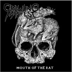 Mouth of the Rat Song Lyrics