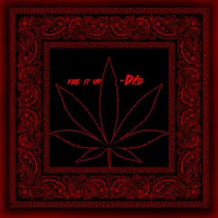 Fire It Up - Single by Di!d album reviews, ratings, credits