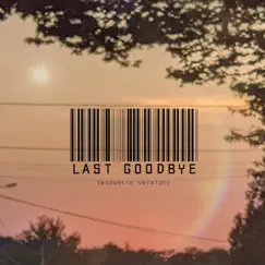 Last Goodbye (Acoustic) - Single by Late Sorrow album reviews, ratings, credits