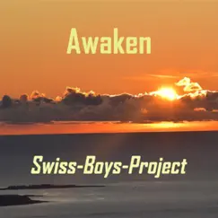 Awaken - Single by Swiss-Boys-Project album reviews, ratings, credits
