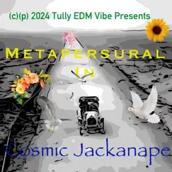Jackanape 500 - Single by Metapersural album reviews, ratings, credits